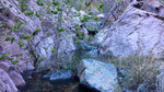 photo thumbnail #9
