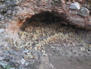 photo thumbnail #13