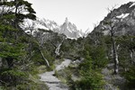 photo thumbnail #8