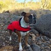 photo thumbnail #9