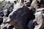 photo thumbnail #9