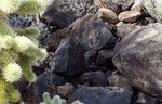 photo thumbnail #10