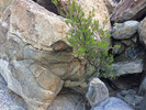photo thumbnail #2