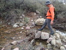 photo thumbnail #5