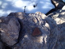 photo thumbnail #11