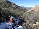photo thumbnail #13