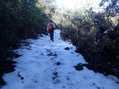 photo thumbnail #15