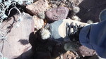 photo thumbnail #7