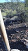 photo thumbnail #11