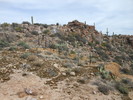 photo thumbnail #7