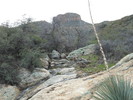 photo thumbnail #8