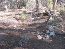 photo thumbnail #6