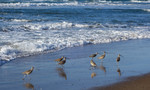 photo thumbnail #3