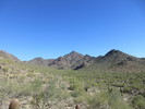 photo thumbnail #3