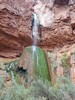 photo thumbnail #12