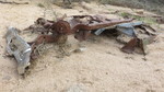 photo thumbnail #2