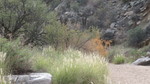 photo thumbnail #5