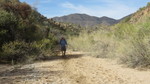photo thumbnail #8