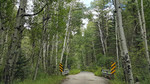 photo thumbnail #14