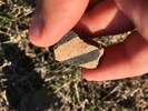 photo thumbnail #15