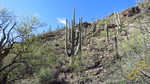 photo thumbnail #15
