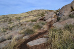 photo thumbnail #6