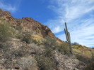 photo thumbnail #4