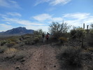 photo thumbnail #7