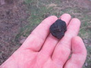 photo thumbnail #3