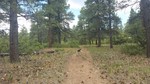 photo thumbnail #4