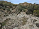 photo thumbnail #2
