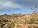 photo thumbnail #4