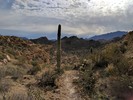 photo thumbnail #5