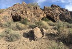 photo thumbnail #3
