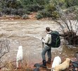 photo thumbnail #2