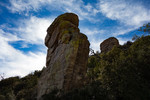 photo thumbnail #11