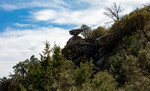 photo thumbnail #12