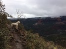 photo thumbnail #6