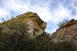 photo thumbnail #7