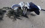 photo thumbnail #2