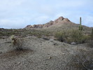 photo thumbnail #1