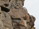 photo thumbnail #10