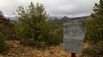 2016-12-31 :1: Dogie Trail #116 :: chumley