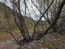 photo thumbnail #7