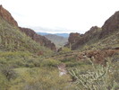 photo thumbnail #1
