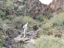 photo thumbnail #2