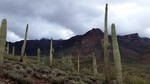 photo thumbnail #5