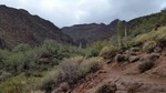 photo thumbnail #6