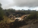 photo thumbnail #4