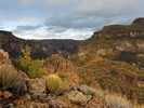 photo thumbnail #9